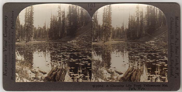 FL from 1930’s T600 Set Keystone Stereoview of Boxing Grapefruit Manatee River 